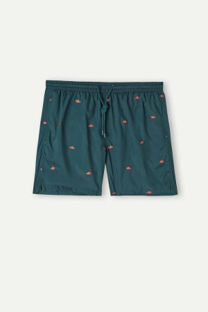 Intimissimi Embroidered Clownfish Pretekarske Plavky Panske Tmavo Zelene | SK FM2740