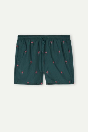 Intimissimi Embroidered Flamingo Pretekarske Plavky Panske Tmavo Zelene | SK SO2742