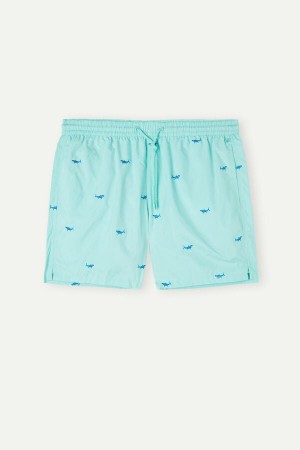 Intimissimi Embroidered Shark Pretekarske Plavky Panske Svetlo Tyrkysové Zelene Tmavo Siva | SK LH2735