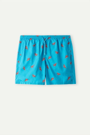 Intimissimi Lobster Print Pretekarske Plavky Panske Tyrkysový Modre | SK MA2754
