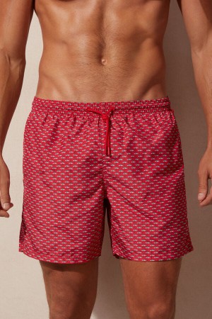 Intimissimi Micro Shark Print Pretekarske Plavky Panske Červené Tmavo Siva | SK AP2743
