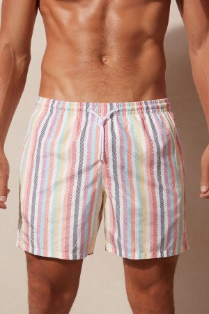 Intimissimi Multicolor Stripe Print Pretekarske Plavky Panske Viacfarebný | SK XF2759