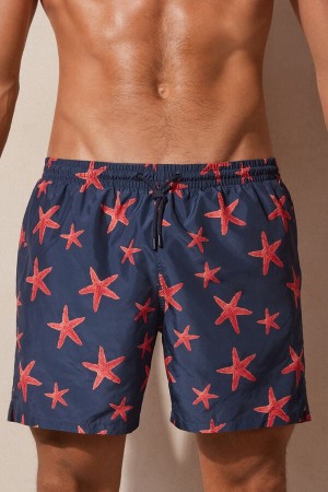 Intimissimi Starfish Print Pretekarske Plavky Panske Modre | SK LH2761
