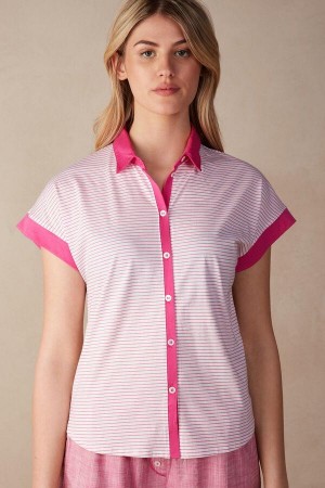 Intimissimi Strawberry Milkshake Kratke Sleeve Top in Supima® Ultrafresh Bavlnene Pyžamá Damske Ruzove | SK KI2095