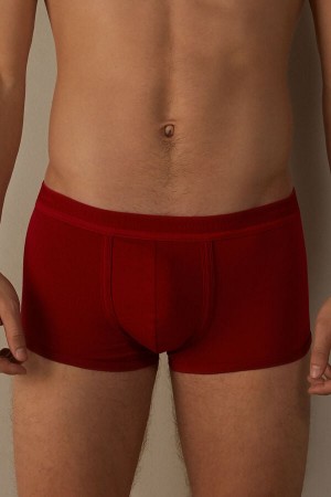 Intimissimi Stretch Supima® Bavlnene Shorts with Logo Detail Boxer Panske Červené Červené | SK WY2610