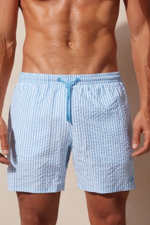 Intimissimi Stripe Print Seersucker Pretekarske Plavky Panske Biele Svetlo Modre | SK HK2738