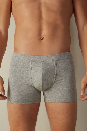Intimissimi Supima® Bavlnene Loose Fit Boxer Panske Svetlo Siva | SK DN2599