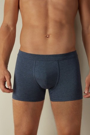 Intimissimi Supima® Bavlnene Loose Fit Boxer Panske Modre | SK ZG2618